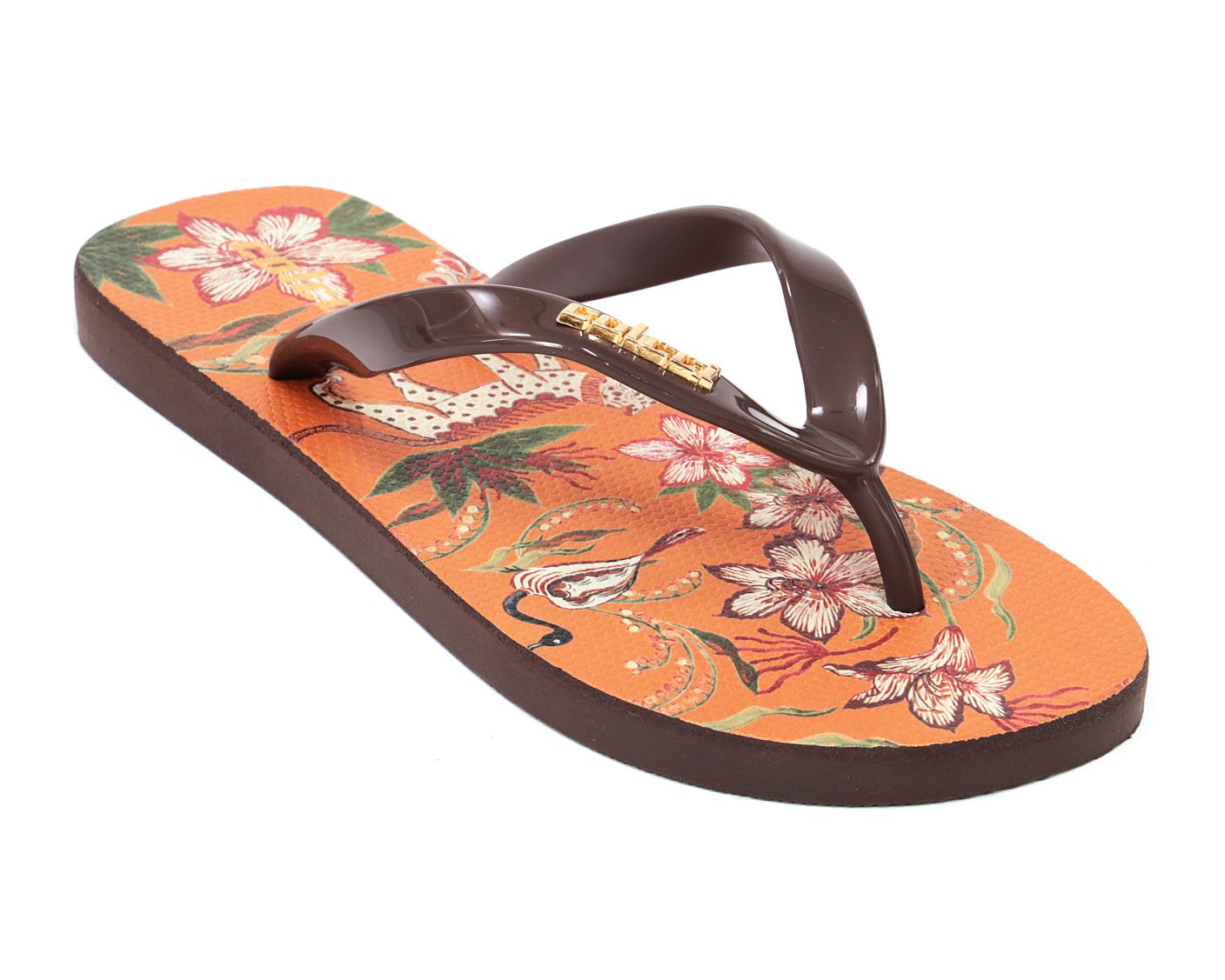 Chinelo Fiji Colcci
